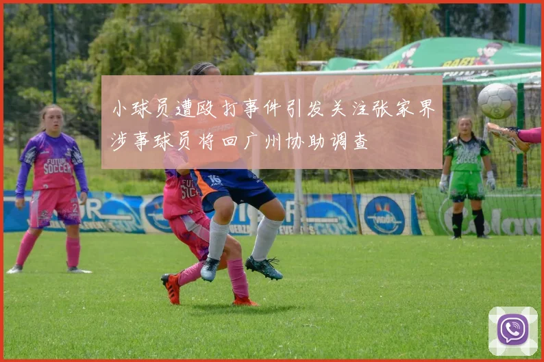 小球员遭殴打事件引发关注张家界涉事球员将回广州协助调查