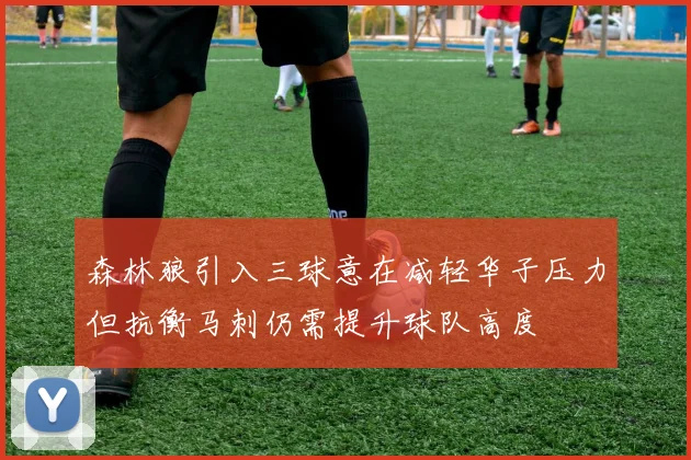 森林狼引入三球意在减轻华子压力但抗衡马刺仍需提升球队高度